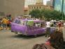 37PurpleFins.jpg