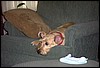 Image003.jpg