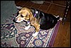 Image008.jpg