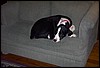 Image010.jpg