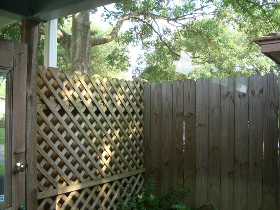 CIMG0214.JPG