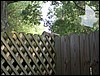 CIMG0215.JPG