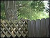 CIMG0216.JPG