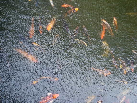 PICT0357.JPG