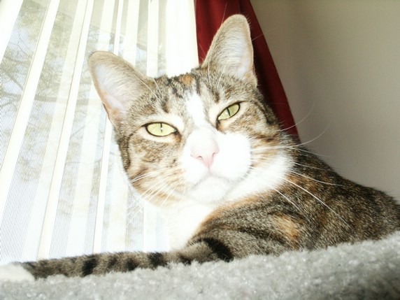 PICT0051.JPG