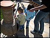 IMG_0492.JPG