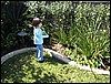 IMG_0520.JPG