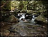 PICT0059.JPG