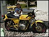 PICT0065.JPG