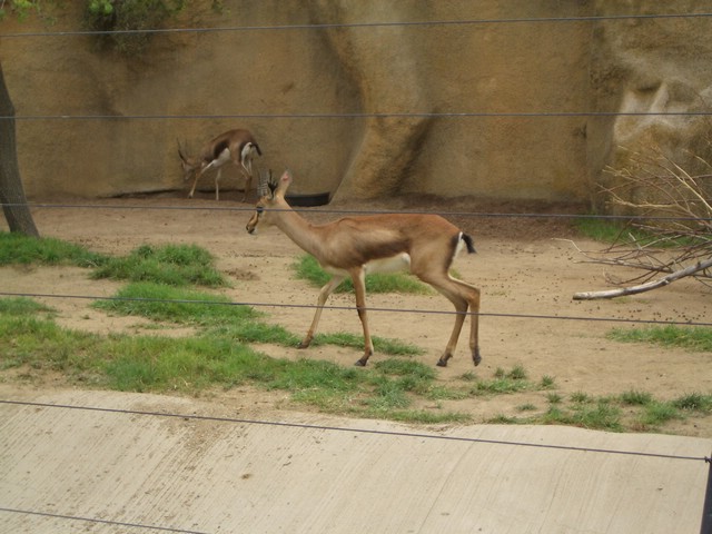 CIMG0859.JPG