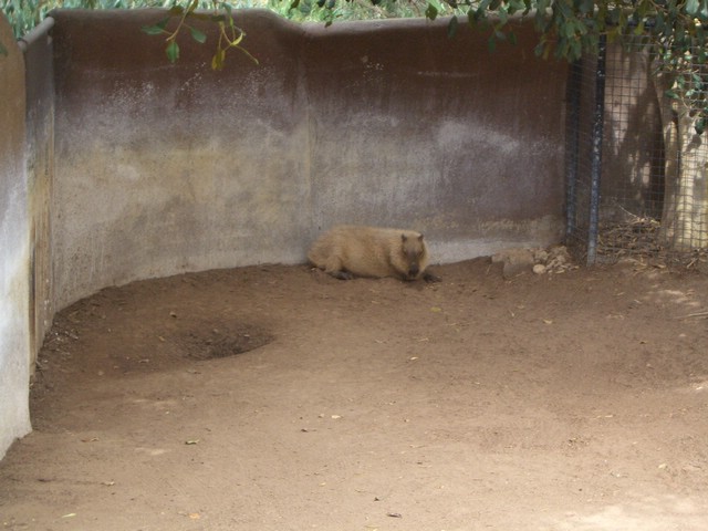 CIMG0878.JPG