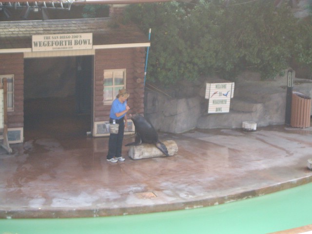 CIMG0900.JPG