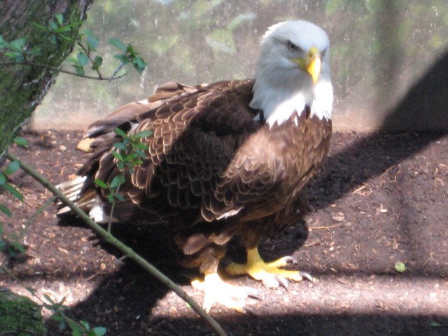 IMG_0118.jpg