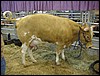 IMG_0073.jpg