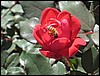 IMG_0216.JPG